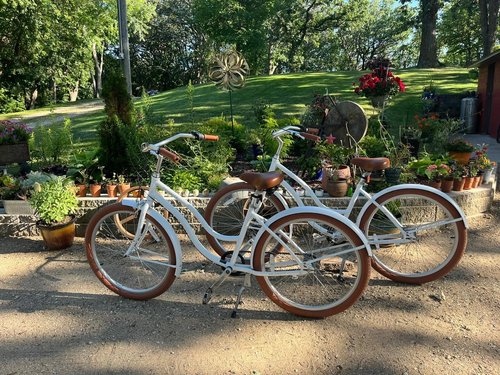 Bicycles+in+front+of+flowers